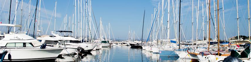 Sailing boats in marina